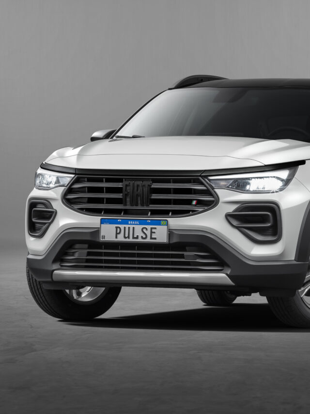 fiat pulse s-design