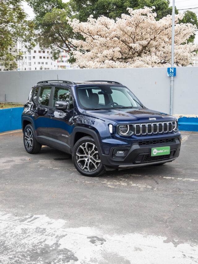 JEEP RENEGADE LONGITUDE FLEX WEBSTORIES (24)