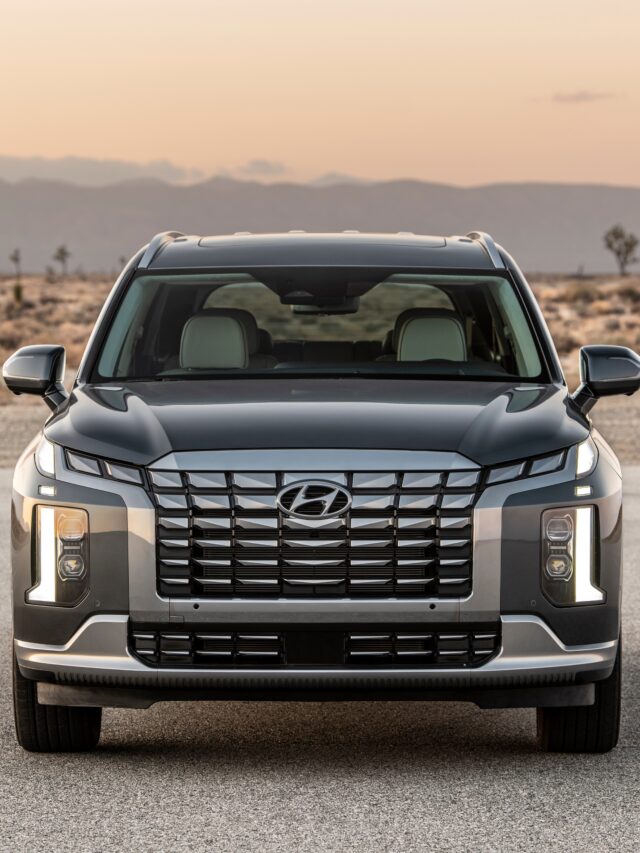 cropped-Hyundai-Palisade-11.jpg